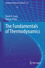 David A. Lavis: The Fundamentals of Thermodynamics, Buch