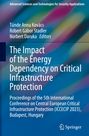 : The Impact of the Energy Dependency on Critical Infrastructure Protection, Buch