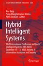 : Hybrid Intelligent Systems, Buch
