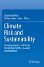 Buchtitel: "Climate Risk and Sustainability". Herausgeber: Stefano Dell’Atti, Stefania Sylos Labini. Blaues Cover, Springer-Logo.