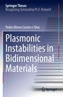 Pedro Afonso Cosme E Silva: Plasmonic Instabilities in Bidimensional Materials, Buch