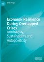 Emil Dinga: Economic Resilience During Overlapped Crises, Buch