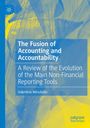 "The Fusion of Accounting and Accountability" steht auf abstraktem Hintergrund in Blau und Gelb. Links oben ein Logo.