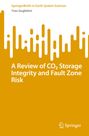 Yves Guglielmi: A Review of CO¿ Storage Integrity and Fault Zone Risk, Buch