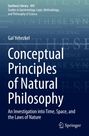 Gal Yehezkel: Conceptual Principles of Natural Philosophy, Buch