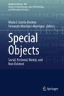 : Special Objects, Buch