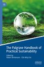 "The Palgrave Handbook of Practical Sustainability" steht in weiß auf blauem Untergrund, mit Erde auf grünem Moos.
