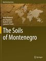 Titel: The Soils of Montenegro. Autoren: Mirko Knežević, Ana Topalović, Budimir Fuštić, Ljubomir Životić. Weltkarte in Punkten, erdfarbener Hintergrund.