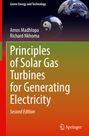 Richard Nkhoma: Principles of Solar Gas Turbines for Generating Electricity, Buch