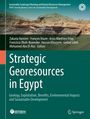 Strategic Georesources in Egypt, Buch