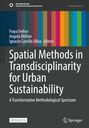 : Spatial Methods in Transdisciplinarity for Urban Sustainability, Buch