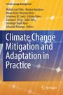 Climate Change Mitigation and Adaptation in Practice, Buch