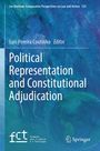 Text: "Political Representation and Constitutional Adjudication." Abstraktes Blau-Grün mit Silhouette einer Figur.