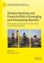 Titel: "Shadow Banking and Financial Risk in Emerging and Developing Markets". Stadt-Skyline und gelber Hintergrund.