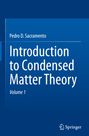 Pedro D. Sacramento: Introduction to Condensed Matter Theory, Buch