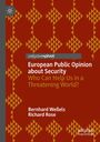 palgrave pivot. European Public Opinion about Security. Who Can Help Us in a Threatening World? Bernhard Weßels, Richard Rose. Beige-rote Muster.