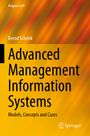 Bernd Schenk: Advanced Management Information Systems, Buch