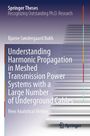 Bjarne Søndergaard Bukh: Understanding Harmonic Propagation in Meshed Transmission Power Systems with a Large Number of Underground Cables, Buch