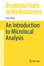 Peter Hintz: An Introduction to Microlocal Analysis, Buch