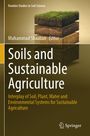 "Soils and Sustainable Agriculture" von Muhammad Shaaban. Schnitt von Erdschichten, aufliegendes Gras, Springer-Logo.