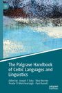 "The Palgrave Handbook of Celtic Languages and Linguistics" genannt. Bearbeitet von Joseph F. Eska und anderen. Abstrakte Kunst.