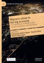 „Migrant Labour in the Gig Economy“ und Namen der Autoren. Ansicht einer beleuchteten Stadt bei Nacht aus der Luft.