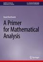 David Borthwick: A Primer for Mathematical Analysis, Buch