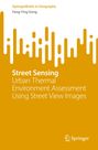 Fang-Ying Gong: Street Sensing, Buch