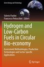 Hydrogen and Low-Carbon Fuels in Circular Bio-economy, Buch