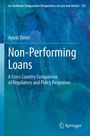 „Non-Performing Loans“, Ayush Dimri. Blauer Hintergrund, schemenhafte Person und Erdkugel, Springer-Logo.