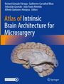 Atlas of Intrinsic Brain Architecture for Microsurgery, Buch