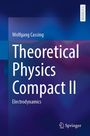Wolfgang Cassing: Theoretical Physics Compact II, Buch