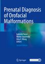 Titel: "Prenatal Diagnosis of Orofacial Malformations". Autoren: Gabriele Tonni, Waldo Sepulveda, Amy E. Wong.