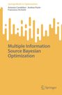 Antonio Candelieri: Multiple Information Source Bayesian Optimization, Buch