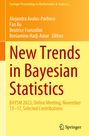 "New Trends in Bayesian Statistics", Online Meeting BAYSM 2023. Gelbem Hintergrund, Springer-Logo unten rechts.