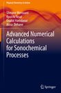 Titel: Advanced Numerical Calculations for Sonochemical Processes. Orange-blauer Hintergrund, Springer-Logo unten.