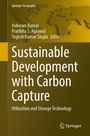 : Sustainable Development with Carbon Capture, Buch