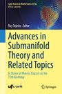 : Advances in Submanifold Theory and Related Topics, Buch