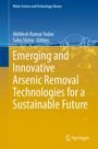 : Emerging and Innovative Arsenic Removal Technologies for a Sustainable Future, Buch