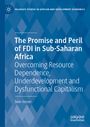 Sean Gossel: The Promise and Peril of FDI in Sub-Saharan Africa, Buch
