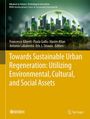 : Towards Sustainable Urban Regeneration: Utilizing Environmental, Cultural, and Social Assets, Buch