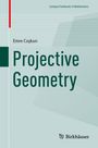 Emre Co¿kun: Projective Geometry, Buch