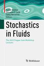 : Stochastics in Fluids, Buch