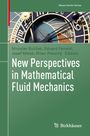 : New Perspectives in Mathematical Fluid Mechanics, Buch