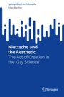 Eitan Machter: Nietzsche and the Aesthetic, Buch