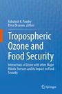 : Tropospheric Ozone and Food Security, Buch