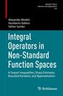 Alexander Meskhi: Integral Operators in Non-Standard Function Spaces, Buch