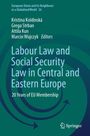 : Labour Law and Social Security Law in Central and Eastern Europe, Buch