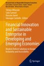 : Financial Innovation and Sustainable Enterprise in Developing and Emerging Economies, Buch