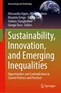 „Sustainability, Innovation, and Emerging Inequalities“ zeigt Erdkugeln auf dunklem Hintergrund, Springer-Logo unten.